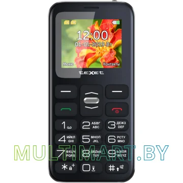 Мобильный телефон TeXet TM-B209 (черный)